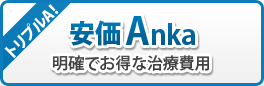 安価Anka