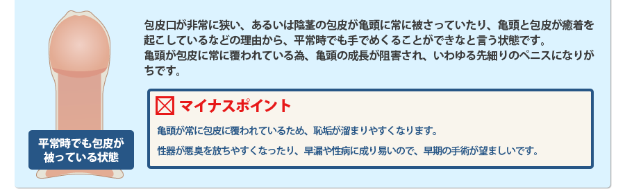 平常時でも包皮が被っている状態