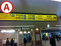 A地点