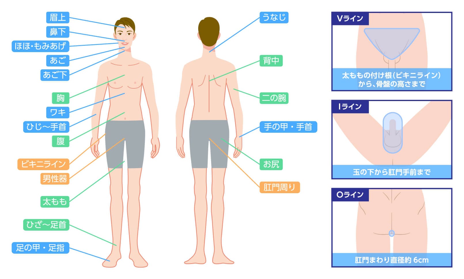 脱毛可能箇所